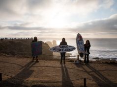 Covid-19 vs. Ecología: Reflexión sobre los esfuerzos para cada crisis.