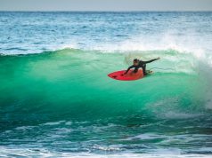 La evolución de los trajes de surf: desde el neopreno a una fuente natural de caucho