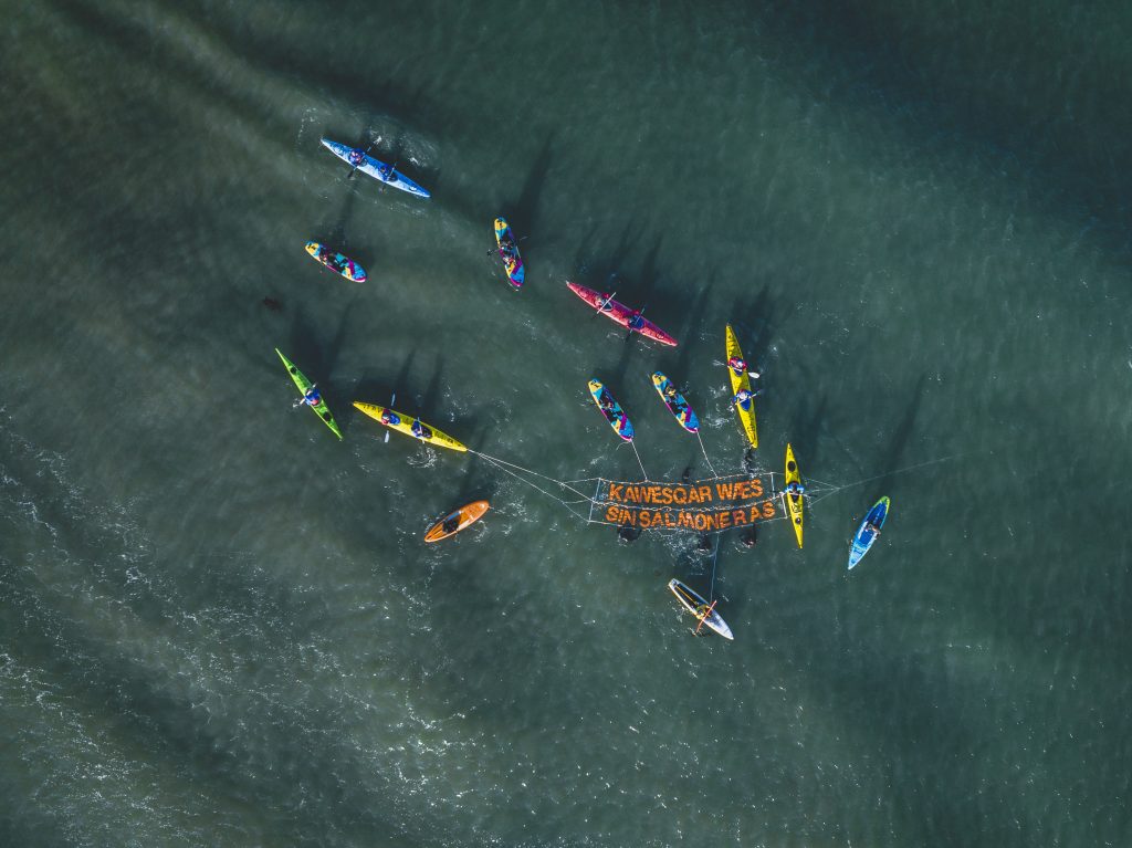 Un grupo de Kayakistas en contra de la industria salmonera.