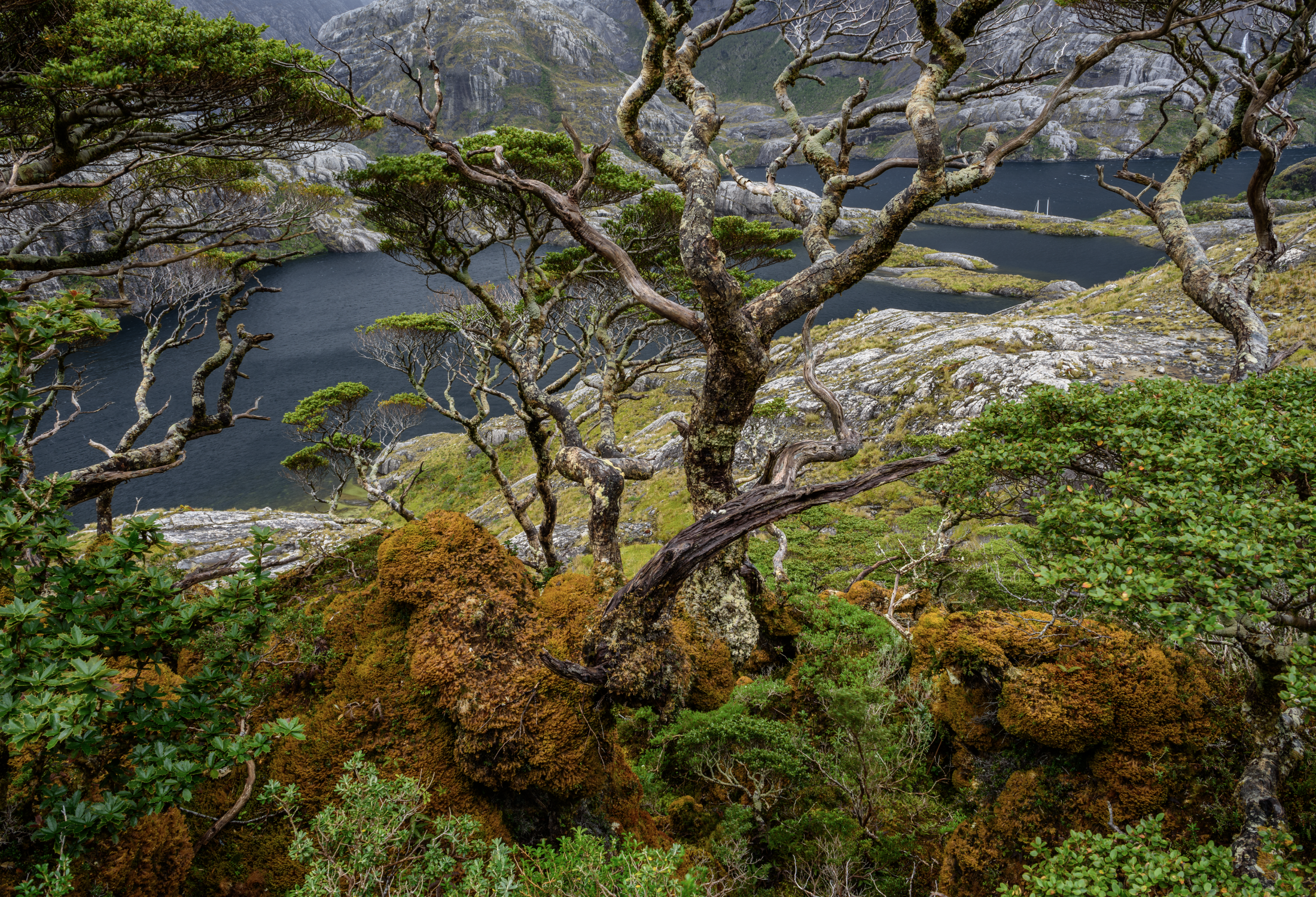Fondeado en Caleta Brecknock, Tierra del Fuego, Parque Nacional Alberto de Agostini