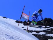 Snow Animal: Gestión deportiva para un ecosistema de montaña competitivo y sostenible