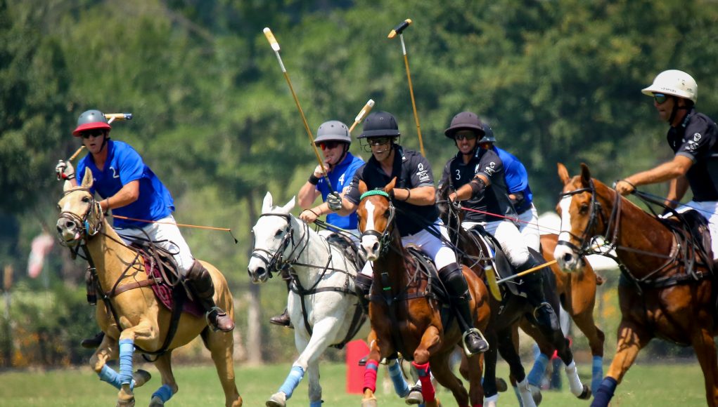 MONTEBRAVO POLOTEAM-147